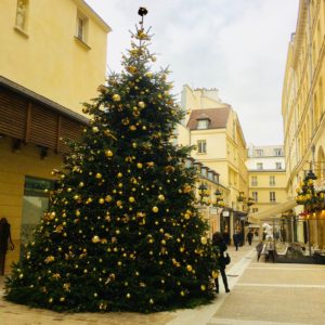 スーパーでもみの木を買ってみた！フランスのクリスマスツリー事情